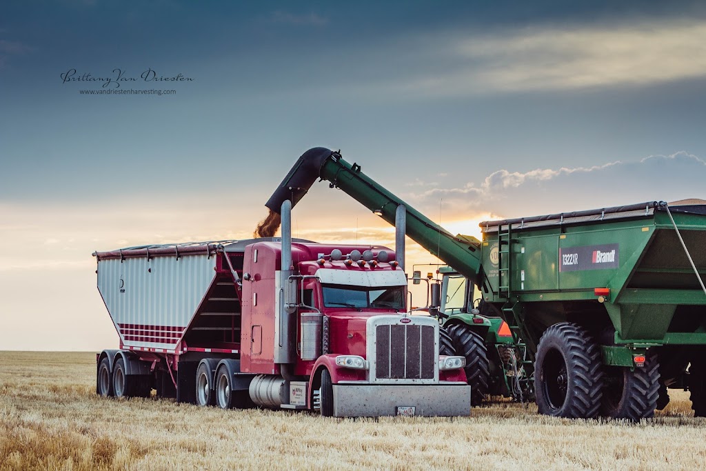 Van Driesten Harvesting Ltd. | 146 Manning Ave, Fort Macleod, AB T0L 0Z0, Canada | Phone: (403) 331-8237