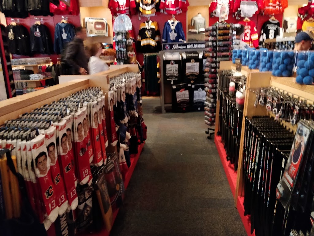 Spirit of Hockey | 30 Yonge St, Toronto, ON M5E 1X8, Canada | Phone: (416) 360-7735 ext. 6