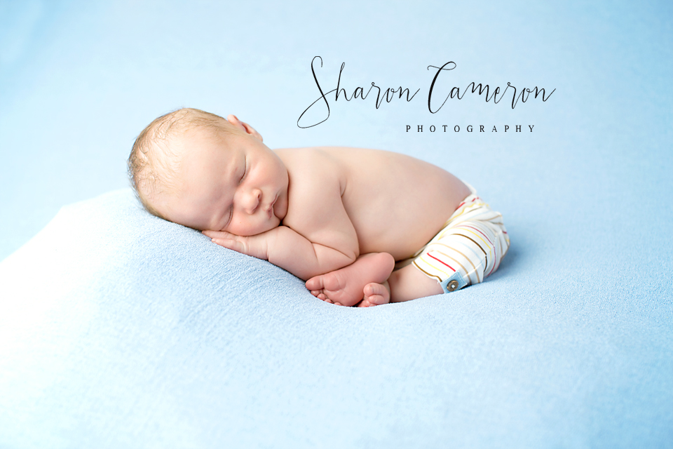 Sharon Cameron Photography | Newmarket, ON L3Y 2N8, Canada | Phone: (289) 380-2410