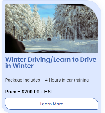 Halton Hills Driving School | 294 Queen St #203, Acton, ON L7J 1P9, Canada | Phone: (905) 703-1424