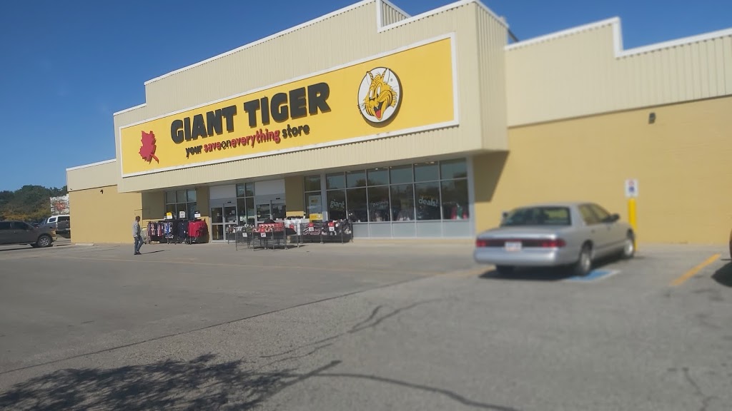 Giant Tiger | 215 Talbot St E, Leamington, ON N8H 3X5, Canada | Phone: (519) 326-0218