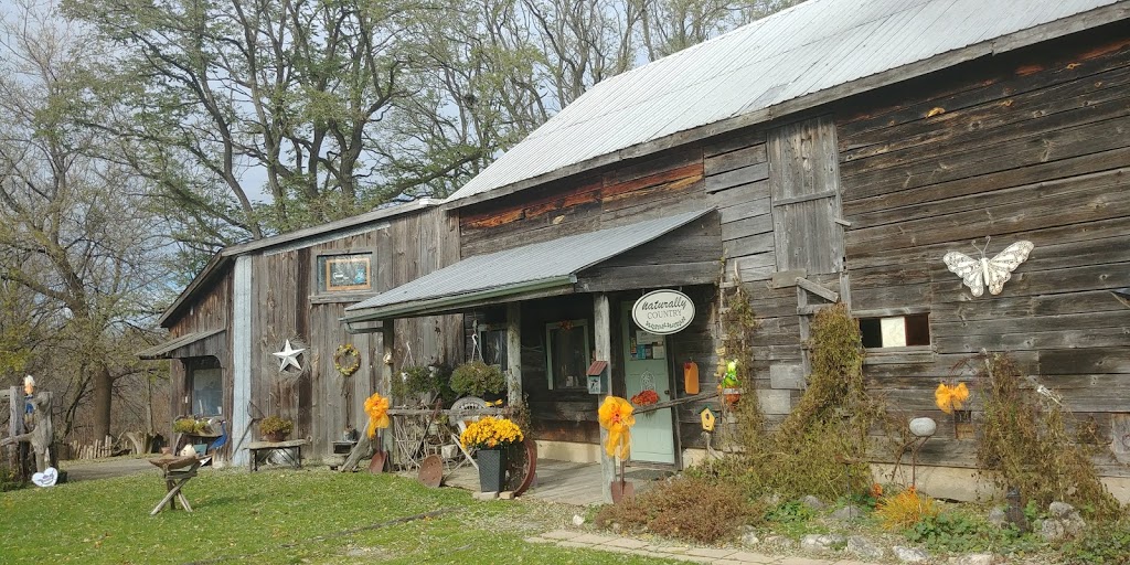 Naturally Country Gift Shoppe and Tearoom | 5020 Tyneside Rd, Mount Hope, ON L0R 1W0, Canada | Phone: (905) 679-5408