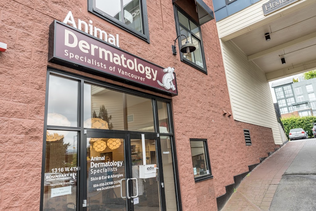 Animal Dermatology Specialists of Vancouver | 1316 W 4th Ave, Vancouver, BC V6H 4A3, Canada | Phone: (604) 558-3376