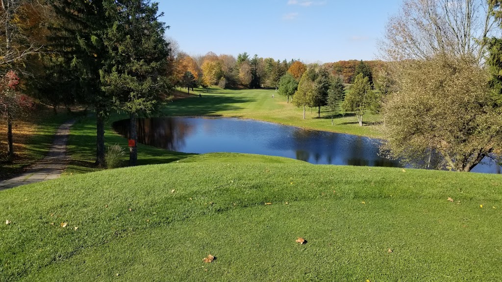 Twin Streams Golf Course | 3481 Carriage Rd, Delaware, ON N0L 1E0, Canada | Phone: (519) 652-5211