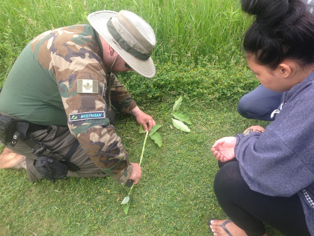 Barefoot Bushcraft | 2540 Cream St, Fenwick, ON L0S 1C0, Canada | Phone: (866) 248-1362