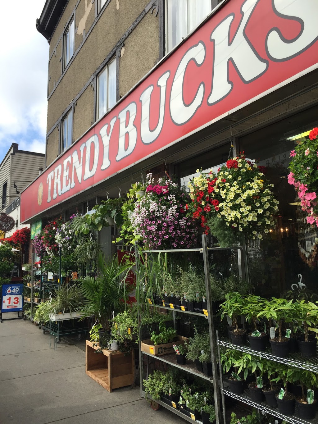 Trendybucks | 4101 Main St, Vancouver, BC V5V 3P6, Canada | Phone: (604) 568-6360