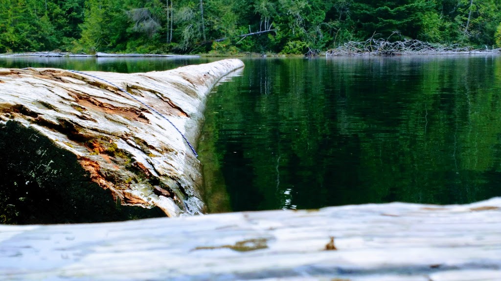 Lizard Lake Camp Ground | Site 18 Harris Main FSR Canada, Pacific Marine Rd, Port Renfrew, BC V0S, Canada | Phone: (250) 701-1976