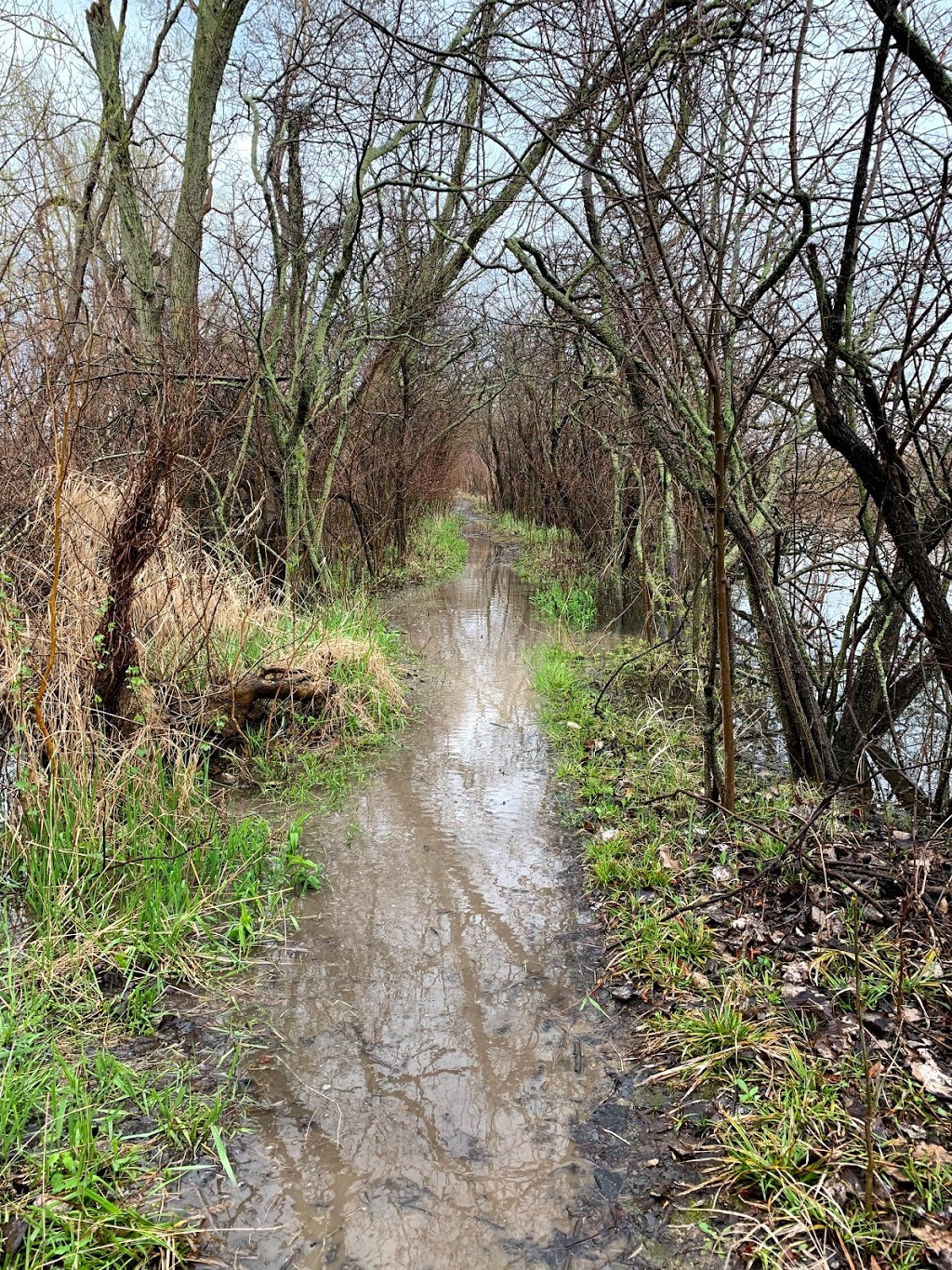 Lighthouse Point Provincial Nature Reserve | Pelee Island, ON, Canada | Phone: (519) 825-4659