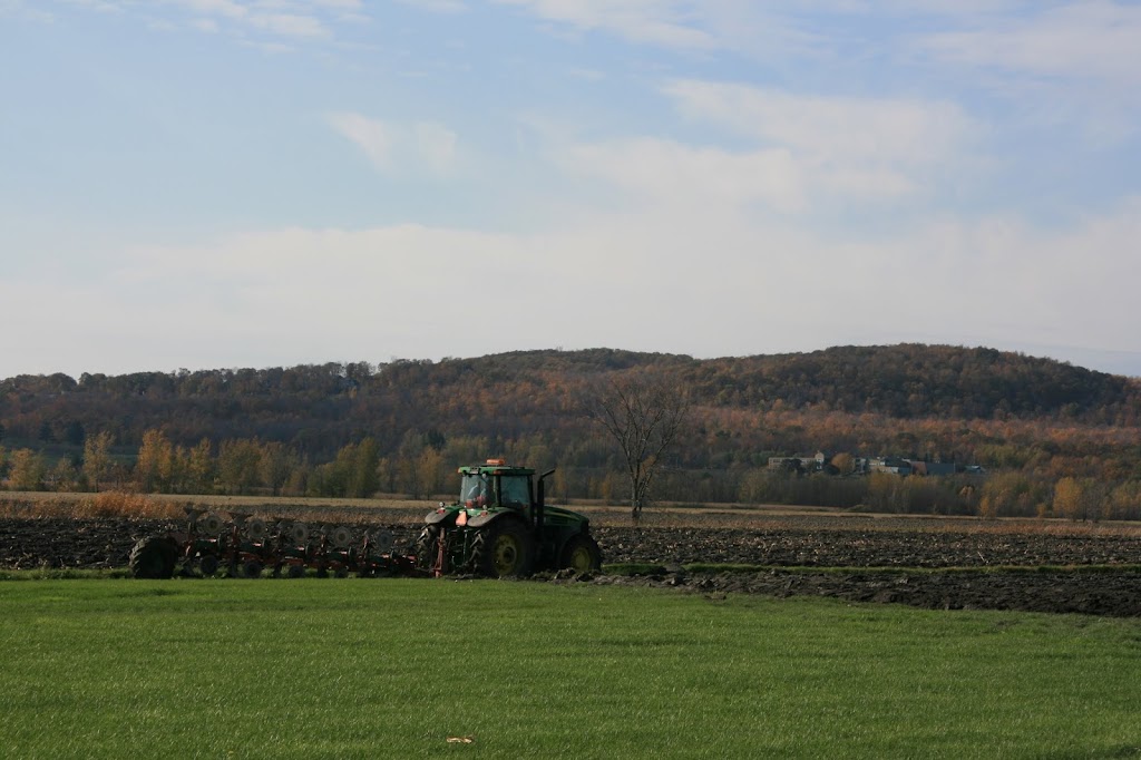 Ferme Classique Inc | 65 Principale, Saint-Basile-le-Grand, QC J3N 1M3, Canada | Phone: (450) 441-6493