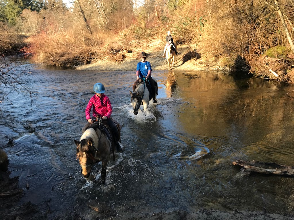 Leghorn Ranch Trail Rides & Hay Sales | 20254 Old Dewdney Trunk Rd, Pitt Meadows, BC V3Y 1Z1, Canada | Phone: (778) 886-1343