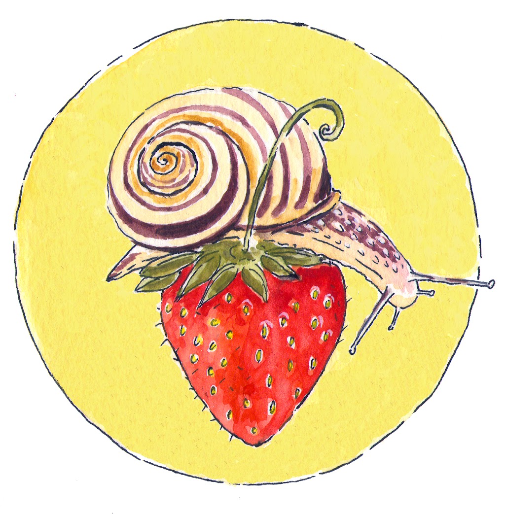 Strawberry Snail Illustrations | 35 Maitland Dr, Belleville, ON K8N 4Z5, Canada | Phone: (613) 403-0072