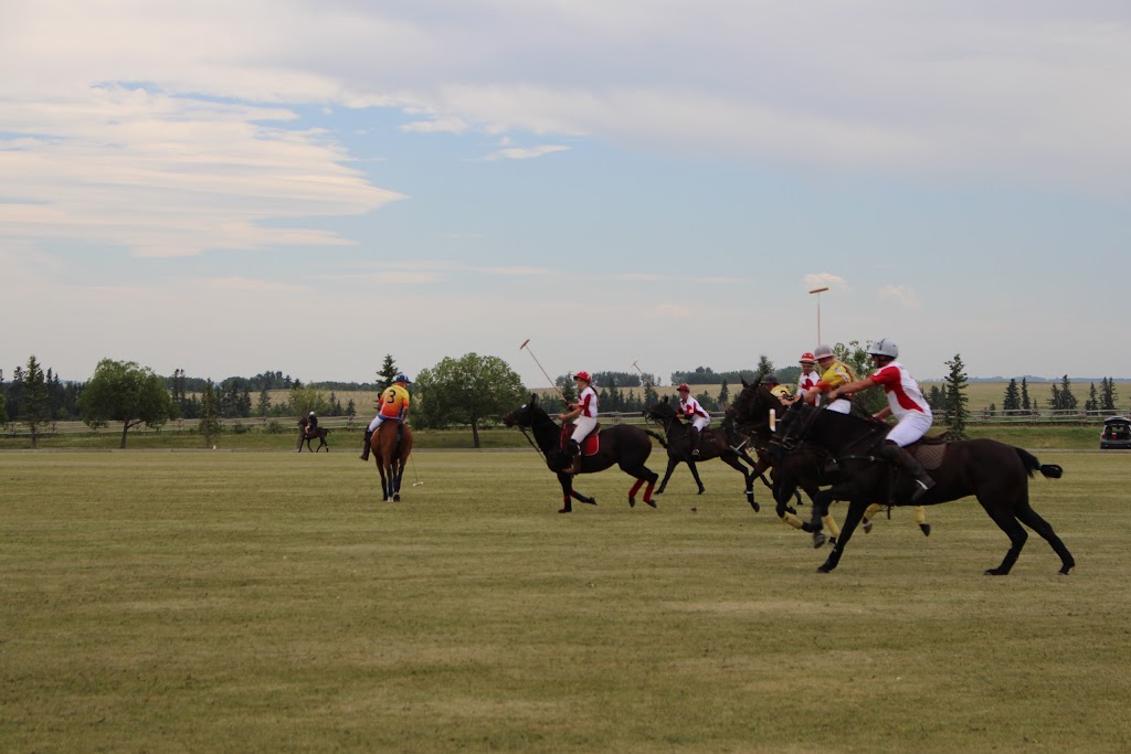 Calgary Polo Club | 24041 306 Ave W, Okotoks, AB T1S 1A2, Canada | Phone: (403) 938-0182