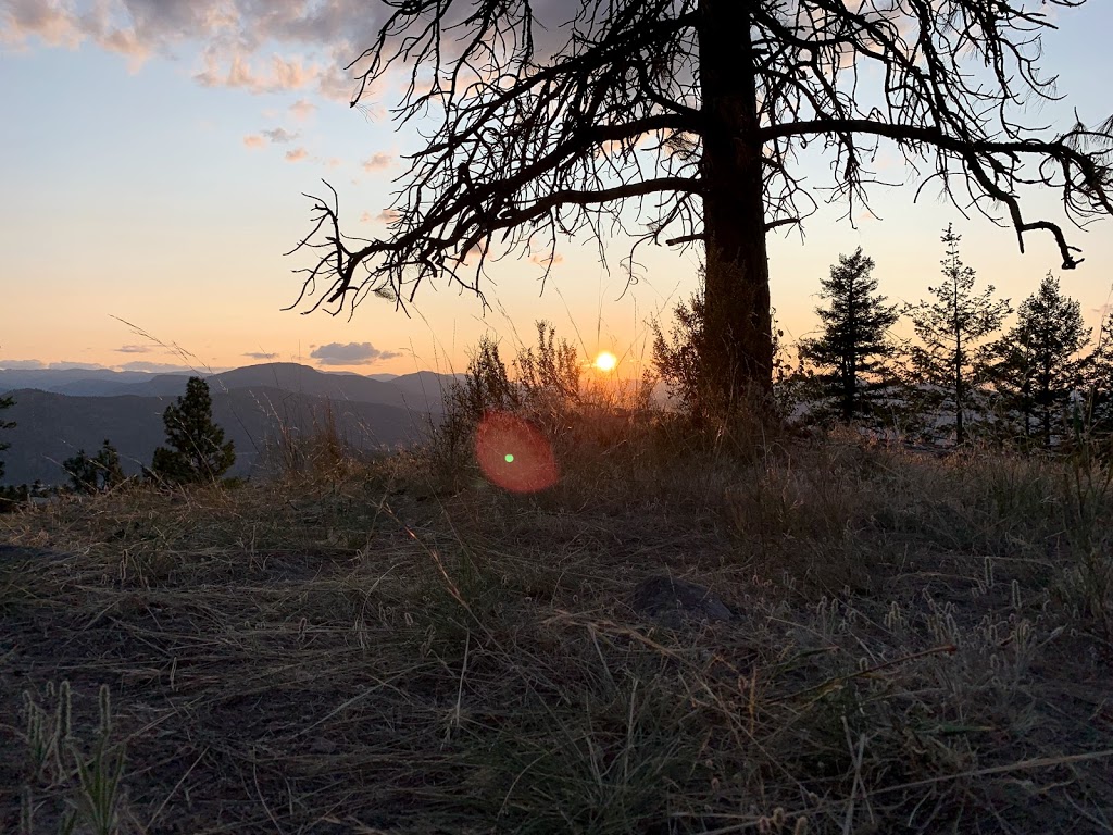 Okanagan Falls Ohv Trails (Okanagan Falls) | N Shuttleworth Creek Rd, Okanagan Falls, BC V0H 1R1, Canada