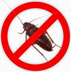 Skina Pest Control | 173 Gail Parks Crescent, Newmarket, ON L3X 3C2, Canada