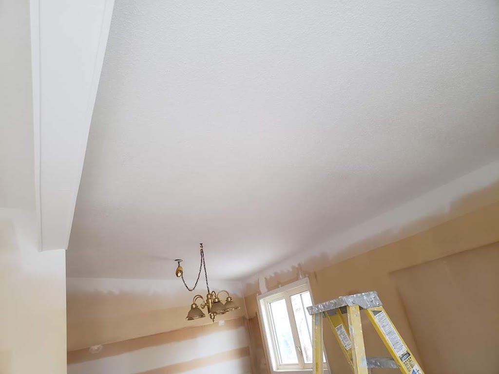 4 Season Painting and Renovations | 1004 Graham Ct NW, Edmonton, AB T5T 6L5, Canada | Phone: (780) 504-6363