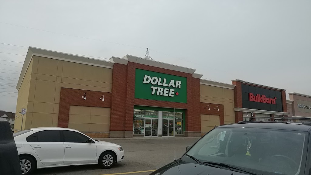 Dollar Tree | 4517 Dundas St, Burlington, ON L7M 5B4, Canada | Phone: (905) 336-3400