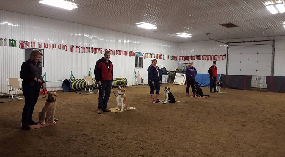 On Target Dog Training | 188 Burbridge Rd, Colborne, ON K0K 1S0, Canada | Phone: (905) 355-1707