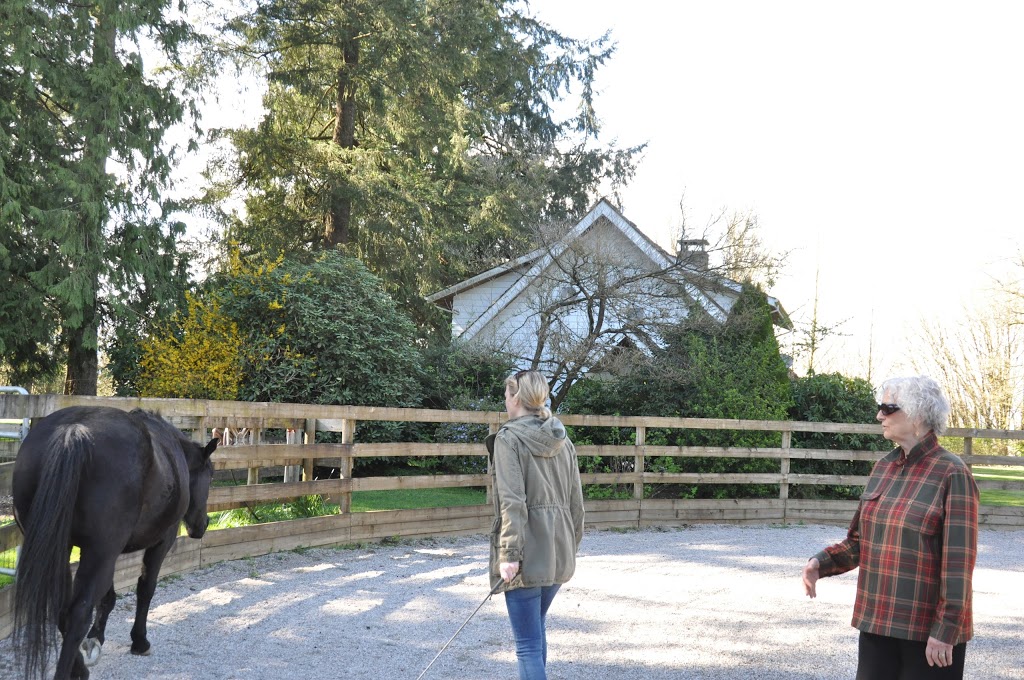 Equine Coach | 23285 Billy Brown Rd #208, Fort Langley, BC V1M 0C8, Canada | Phone: (604) 873-4874