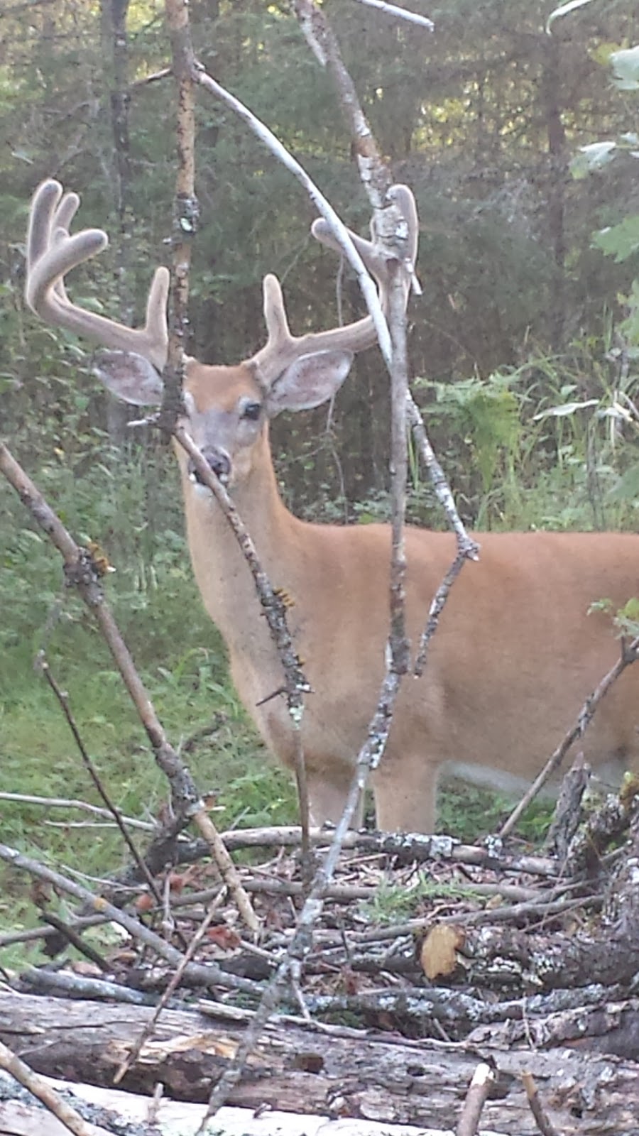 Relax Ridge Seasonal Park | Trans Canada Trail, Pinawa, MB R0E 1L0, Canada | Phone: (204) 345-3957