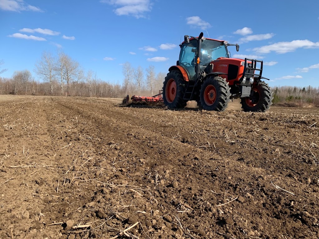 Ferme Fertilys | 860 QC-352, Sainte-Thècle, QC G0X 3G0, Canada | Phone: (418) 507-2697