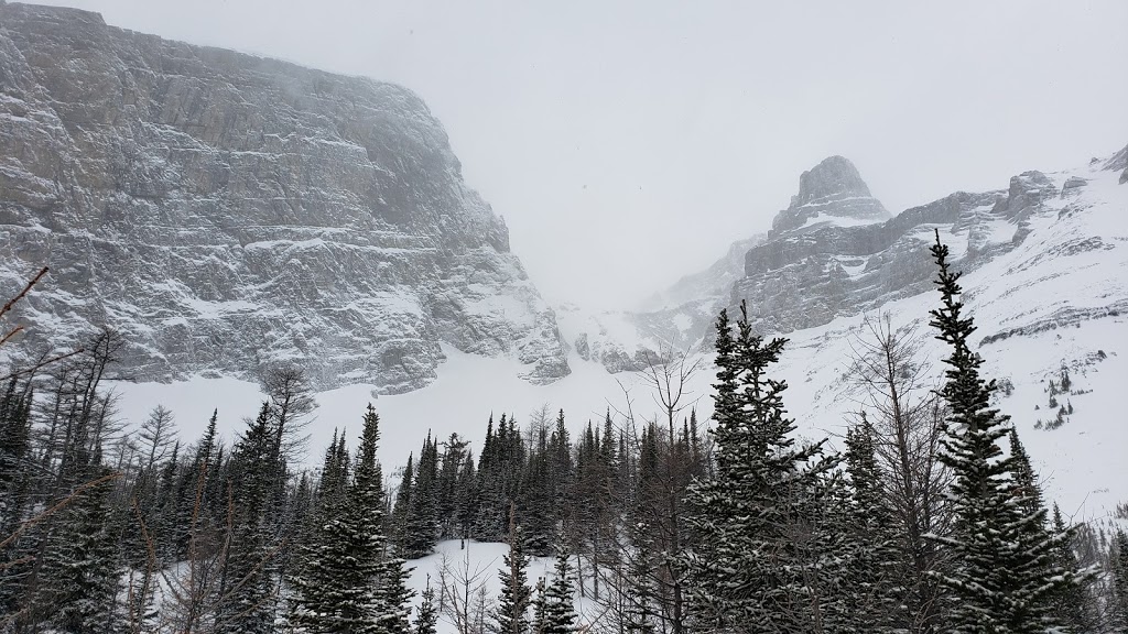 KPOW! Cat Skiing at Fortress Mountain | Kananaskis, AB T0L, Canada | Phone: (403) 808-5972