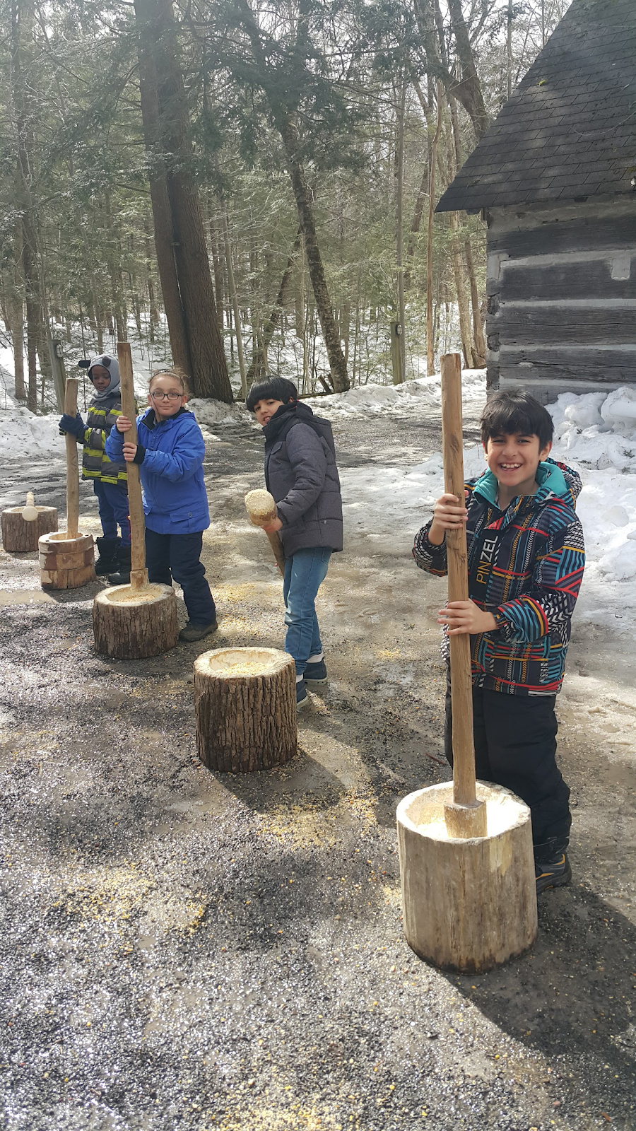 MacSkimming Outdoor Education Centre | 3635 Ottawa Regional Rd 174, Cumberland, ON K4C 1G9, Canada | Phone: (613) 833-2080