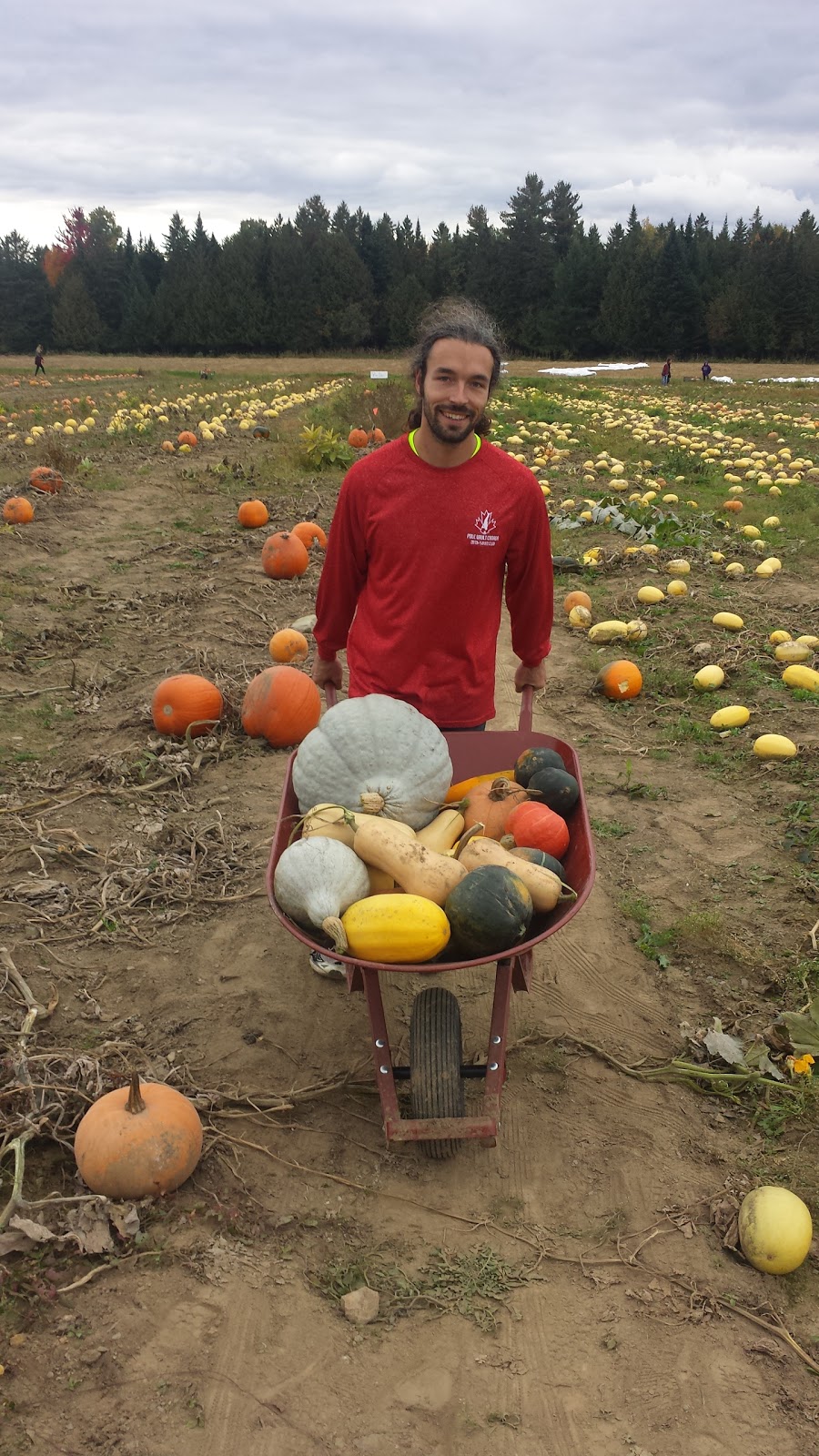 Ferme Au Pré Bleu | 409 Chemin Paul, Ascot Corner, QC J0B 1A0, Canada | Phone: (819) 832-3959