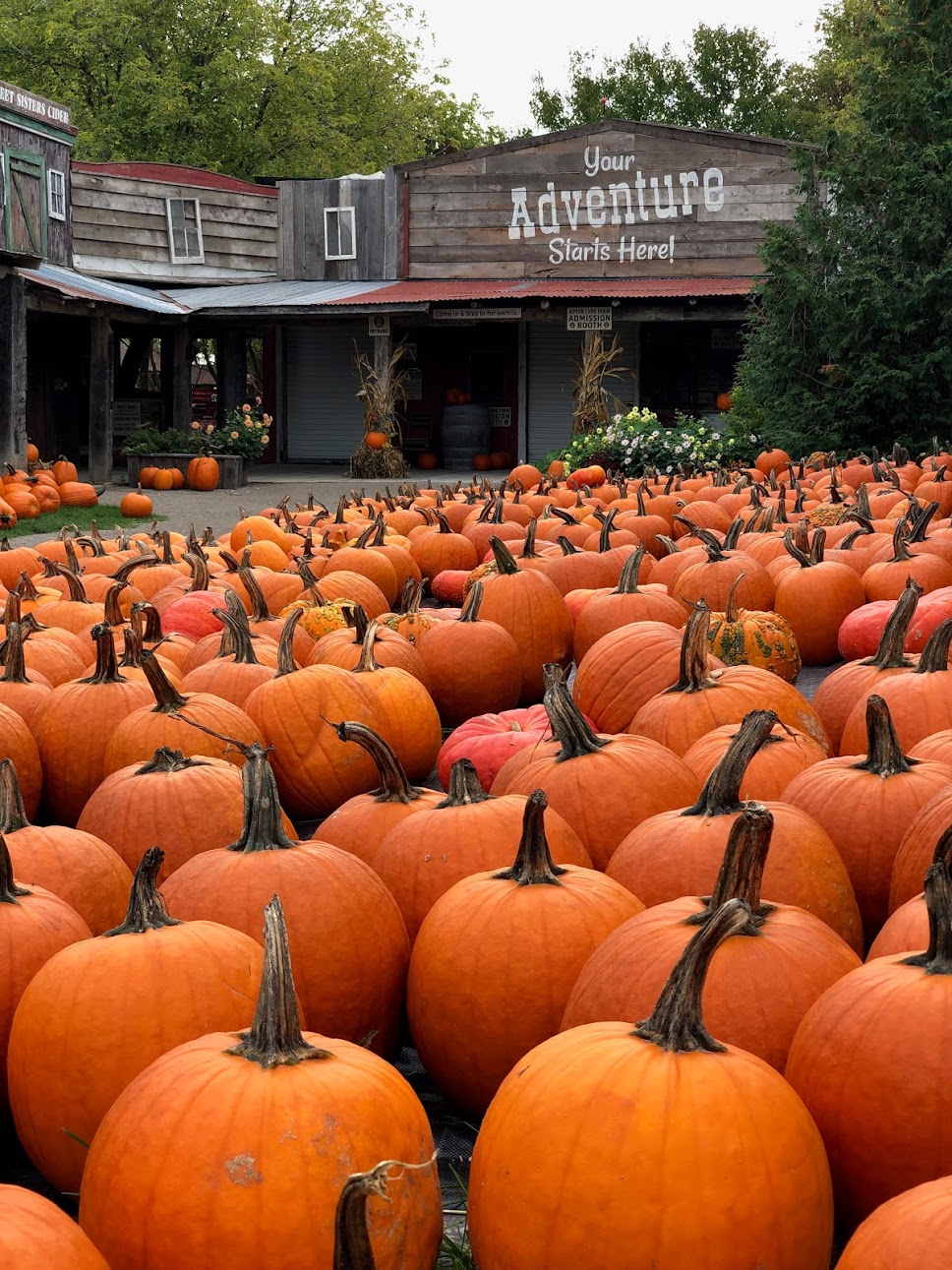 Clovermead Adventure Farm | 11302 Imperial Rd, Aylmer, ON N5H 2R3, Canada | Phone: (519) 773-5503