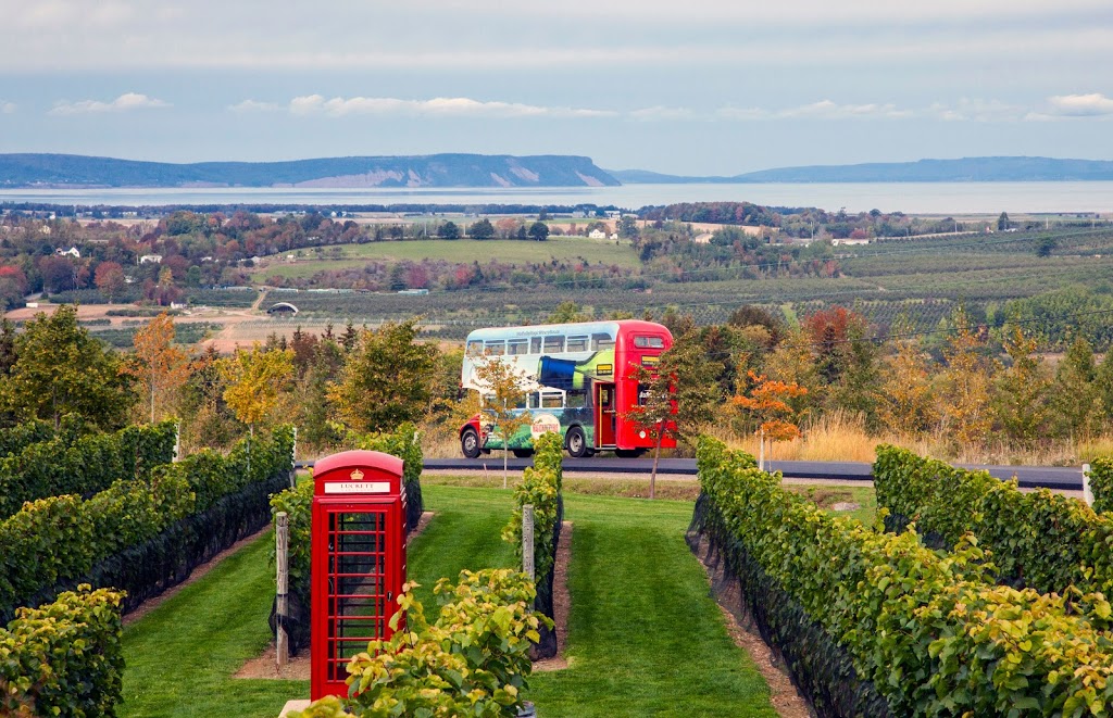 Magic Winery Bus Limited | 11 Willow Ave, Wolfville, NS B4P 1A1, Canada | Phone: (902) 670-0340