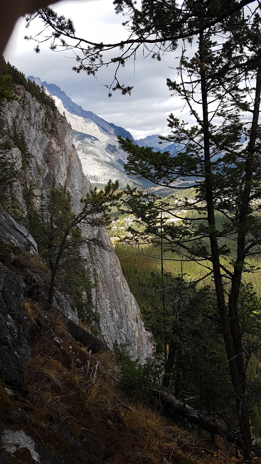 Tunnel Mountain Trail Route | Tunnel Mountain Trail, Improvement District No. 9, AB T0L 0C0, Canada | Phone: (888) 773-8888