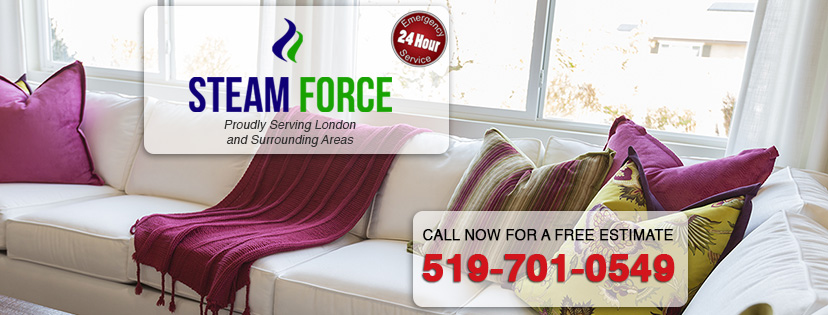 Steam Force | 33 Phair Cresent, London, ON N5Z 5B5, Canada | Phone: (519) 701-0549