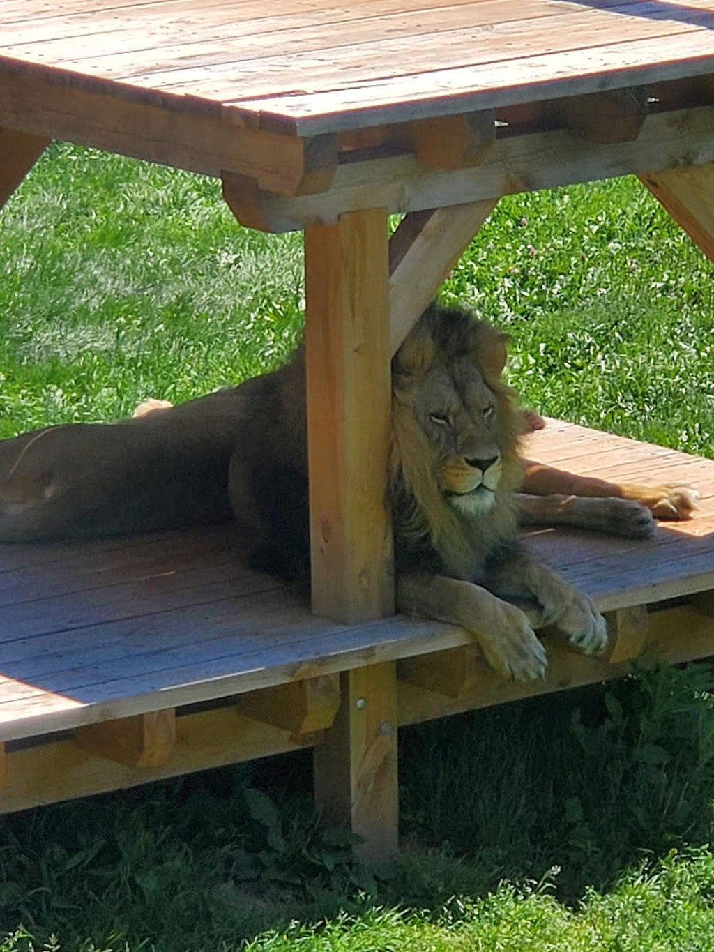 Moncton Zoo Playground & benches | Moncton, NB E1G 4V7, Canada | Phone: (506) 877-7720