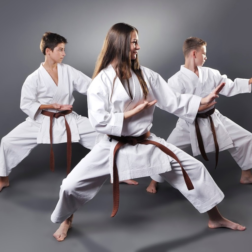 Shotokan Karate Rawdon | 6550 QC-125, Rawdon, QC J0K 1S0, Canada | Phone: (450) 834-1373