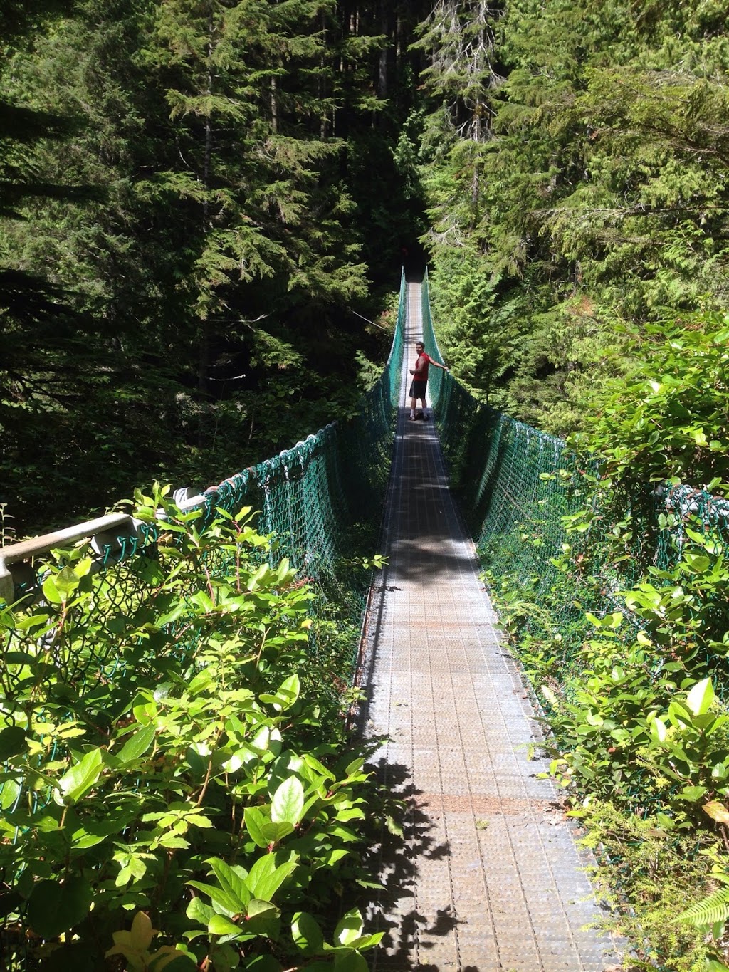 Juan de Fuca Trail Trailhead (Southeast / China Beach Terminus) | BC-14, Juan de Fuca, BC V0S, Canada