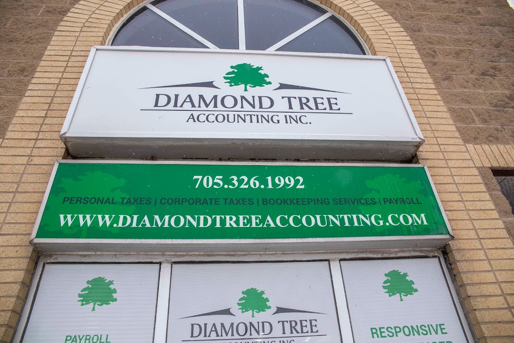 Diamond Tree Accounting | Orillia | 25 Front St S, Orillia, ON L3V 4S1, Canada | Phone: (705) 326-1992