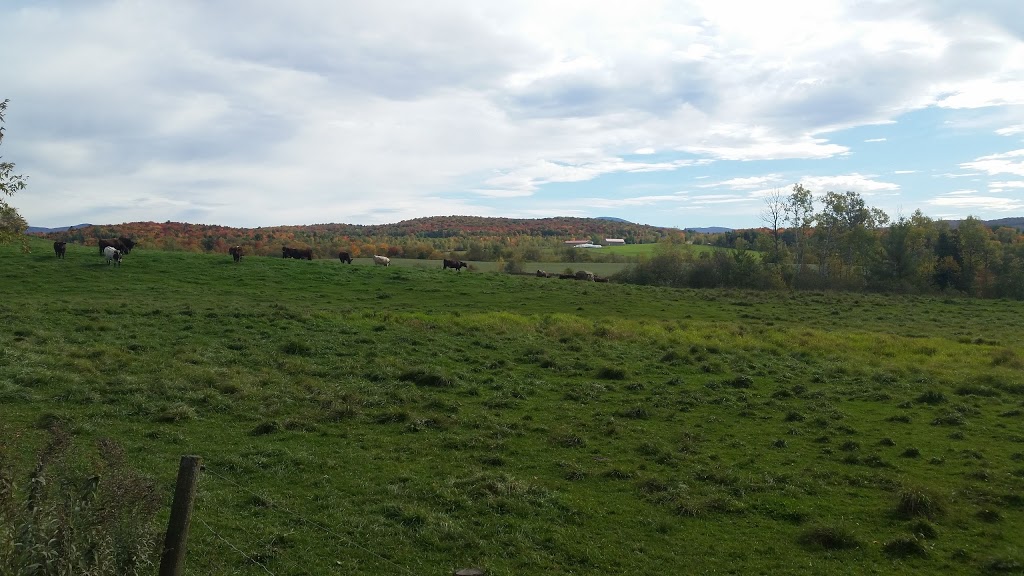 Shadypath Farm | 19 Chemin Soles, West Brome, QC J0E 2P0, Canada | Phone: (450) 263-7137