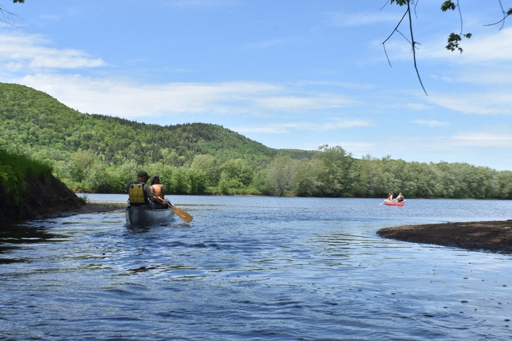 Osprey Adventures | 1075 Main St, Hampton, NB E5N 6G1, Canada | Phone: (506) 566-0727