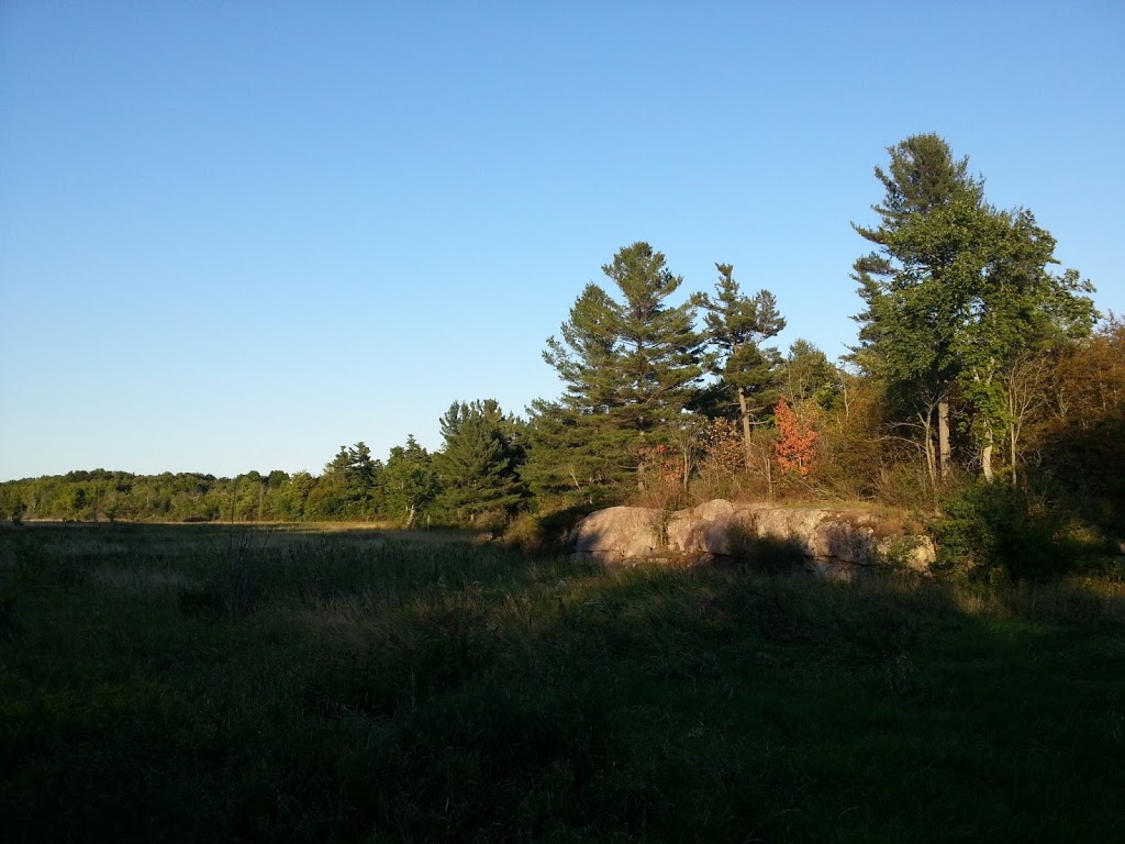 Butternut Creek Park | Kingston, ON, Canada