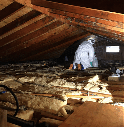 Absolute Mold Remediation Ltd. - Attic Specialists | 30 Cloke Ct, Hamilton, ON L8T 1N5, Canada | Phone: (800) 578-1291