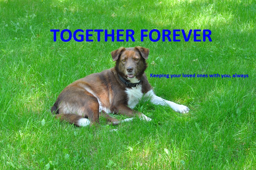 Together Forever | 14950 Cartwright East Quarter Line, Nestleton Station, ON L0B 1L0, Canada | Phone: (416) 458-2800