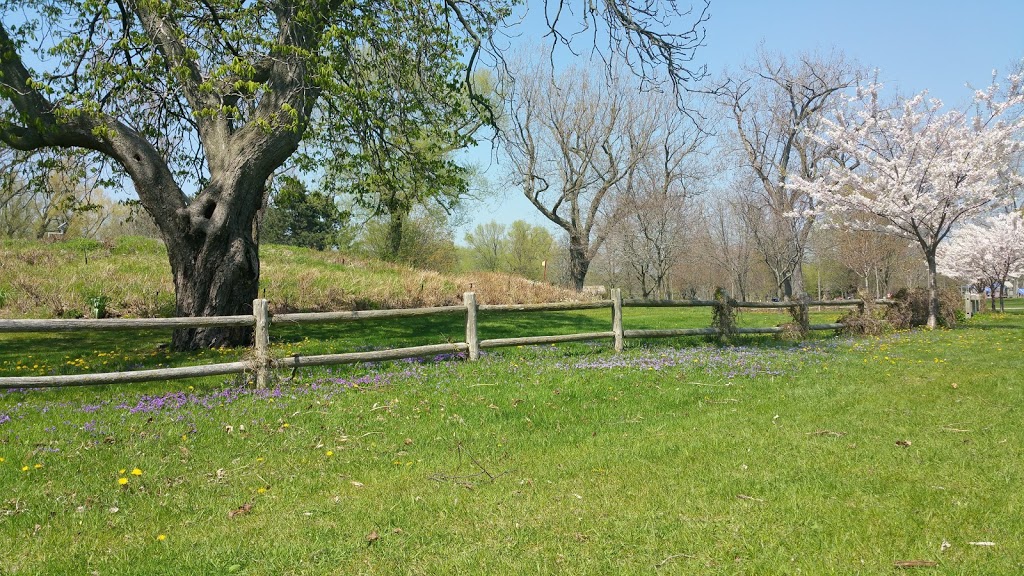 Franklin Childrens Garden | Toronto, ON M5J 2E9, Canada