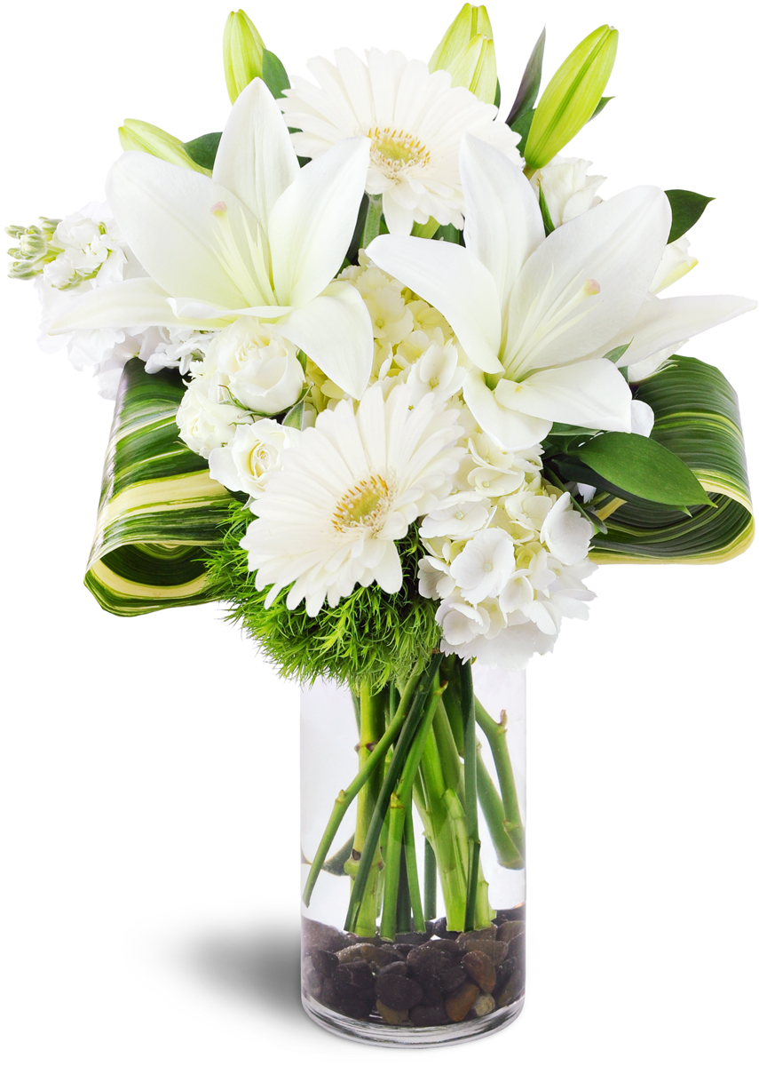 DMP Flowers of Oshawa | 595 King St E unit 1, Oshawa, ON L1H 1G3, Canada | Phone: (905) 725-1234