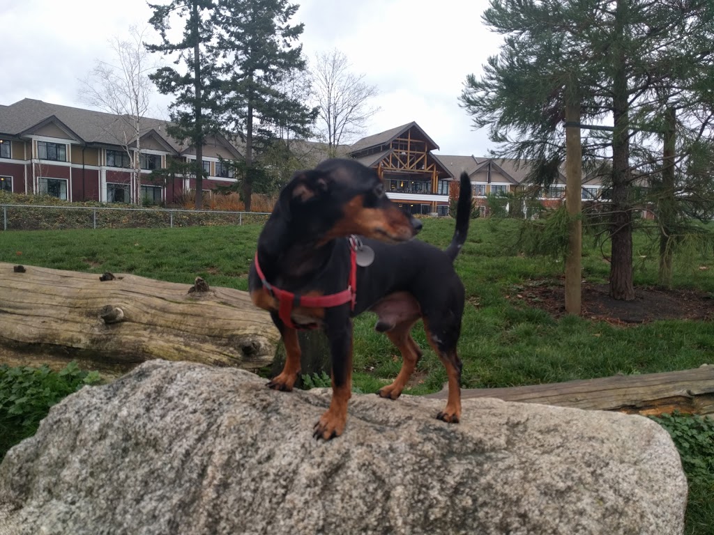 Clayton Dog Off-Leash Park | 7011 188 St, Surrey, BC V4N 3G6, Canada | Phone: (604) 501-5050