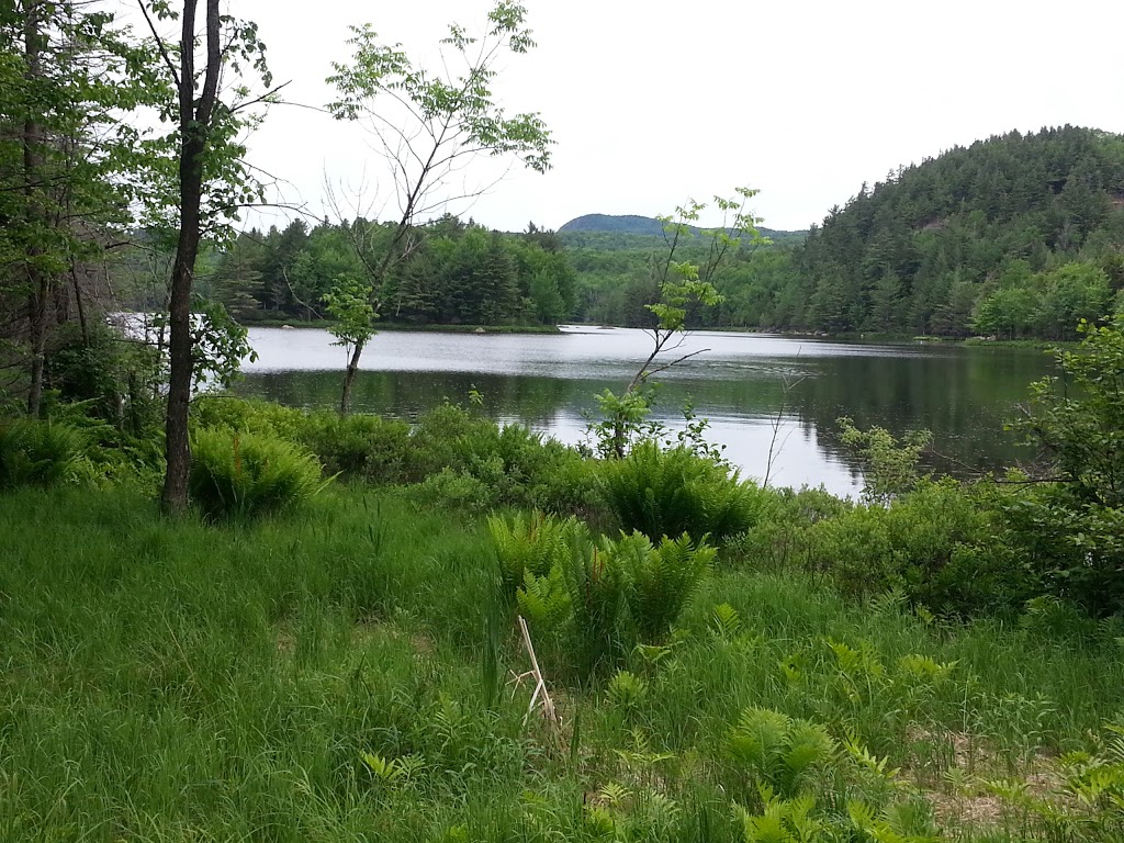 Secteur du Lac-Stukely - Parc National du Mont-Orford | 200 Chemin du Camping, Orford, QC J1X 7A2, Canada | Phone: (819) 843-9855