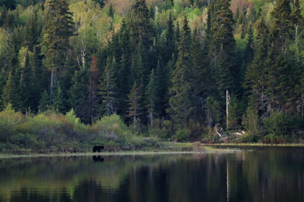 Hébergement Marcotte - Réserve Faunique Mastigouche | Unnamed Road, 1V0, Saint-Alexis-des-Monts, QC J0K 1V0, Canada