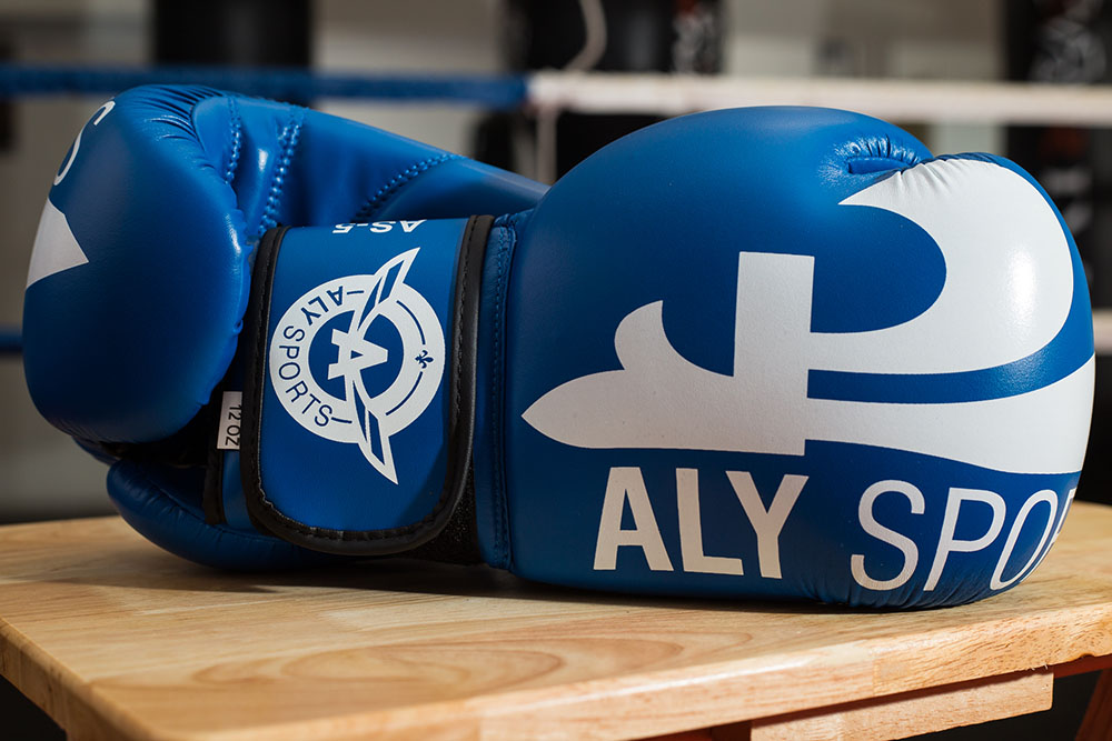 Club De Boxe Aly, Cous De Boxe Pour Débutants Et Compétiteurs De | 449 Avenue St Jean, Sainte-Marie, QC G6E 2E2, Canada | Phone: (418) 386-2693