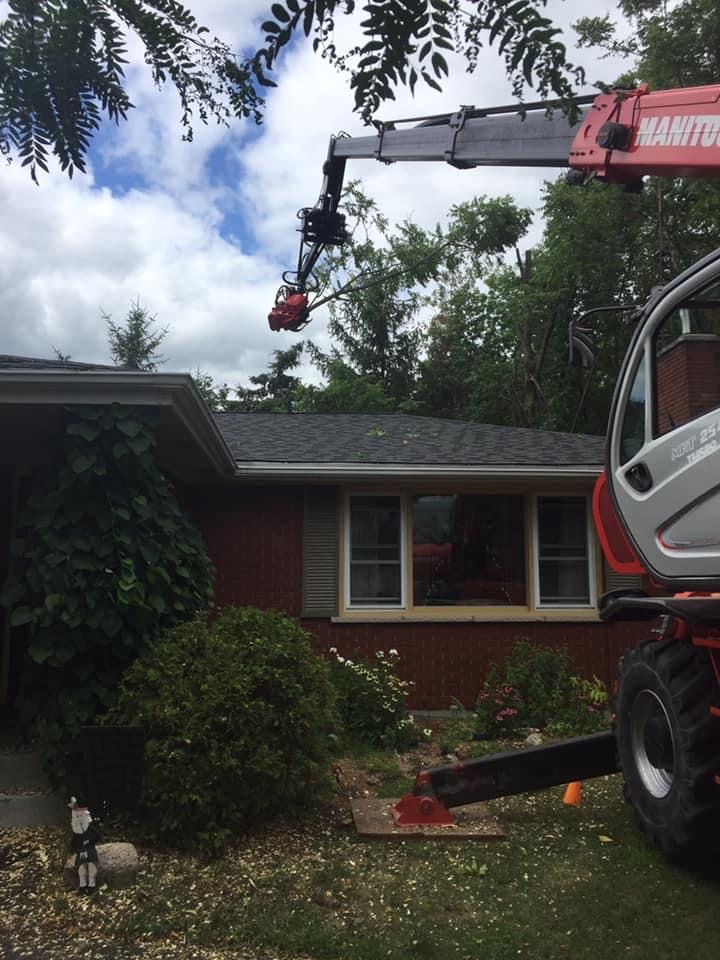 Glengarry Tree Service | 21601 Concession Rd 2, Bainsville, ON K0C 1E0, Canada | Phone: (613) 347-2303