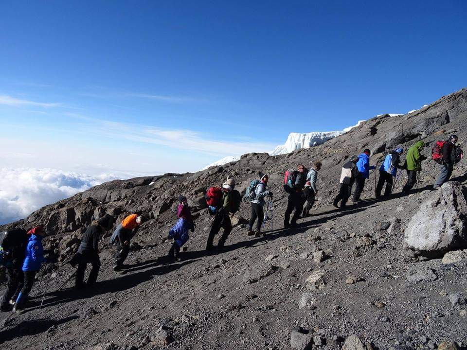 Kilimanjaro Trekking Guides | 493 Cheryl Pl, Kingston, ON K7K 0B2, Canada | Phone: (613) 929-3313