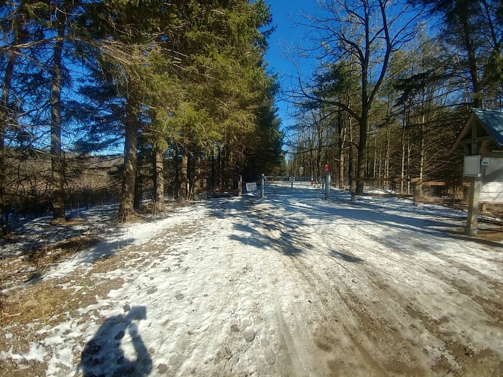 WCC Hydrocut Trails Pines Entrance | 1974 Snyders Rd E, Petersburg, ON N0B 2H0, Canada