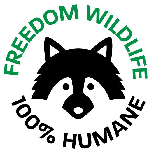 Freedom Wildlife Animal Removal Services | 33 Robinson St, Hamilton, ON L8P 1Y8, Canada | Phone: (905) 741-1195